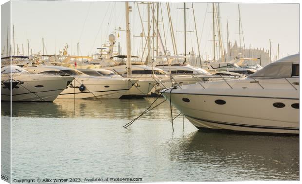 Luxury yachts at marina in Palma de Majorca Canvas Print by Alex Winter