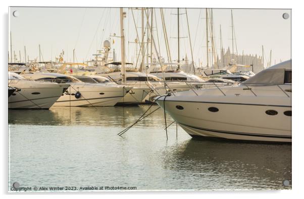 Luxury yachts at marina in Palma de Majorca Acrylic by Alex Winter