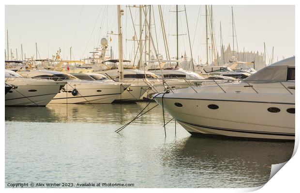 Luxury yachts at marina in Palma de Majorca Print by Alex Winter