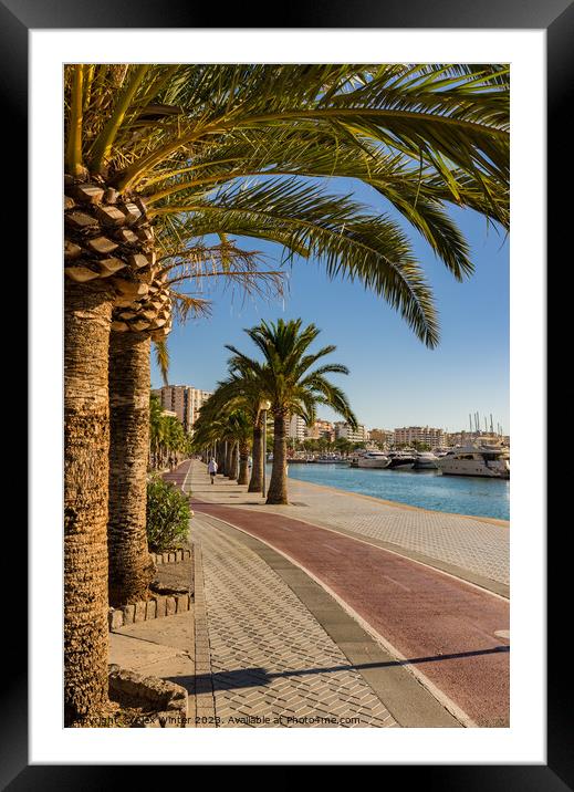 Spain, Palma de Mallorca Framed Mounted Print by Alex Winter