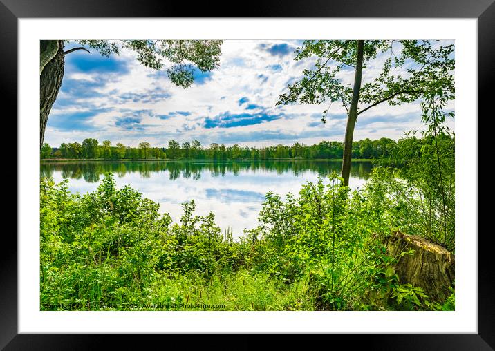 Tranquil scene with lake and green trees Framed Mounted Print by Alex Winter