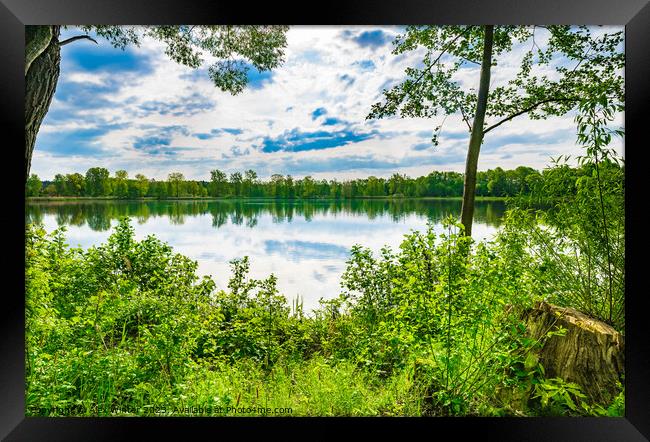 Tranquil scene with lake and green trees Framed Print by Alex Winter