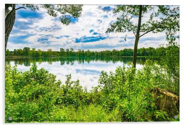 Tranquil scene with lake and green trees Acrylic by Alex Winter