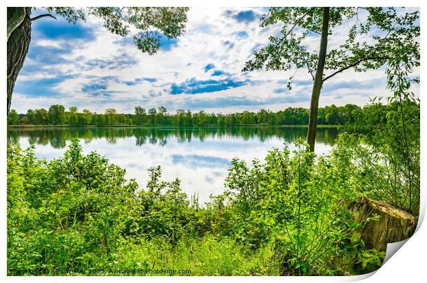 Tranquil scene with lake and green trees Print by Alex Winter
