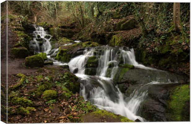 Badger Dingle Waterfall  Canvas Print by Steve Taylor