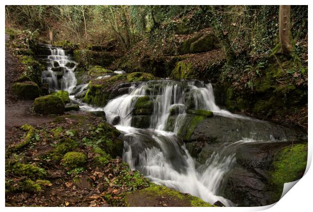 Badger Dingle Waterfall  Print by Steve Taylor
