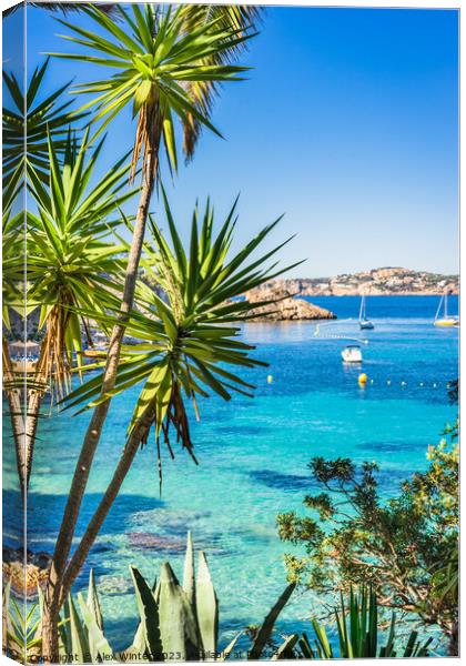 Idyllic view of Cala Fornells Canvas Print by Alex Winter