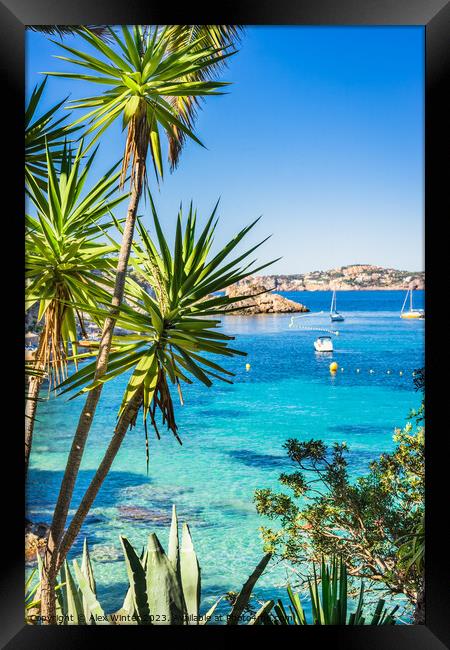 Idyllic view of Cala Fornells Framed Print by Alex Winter