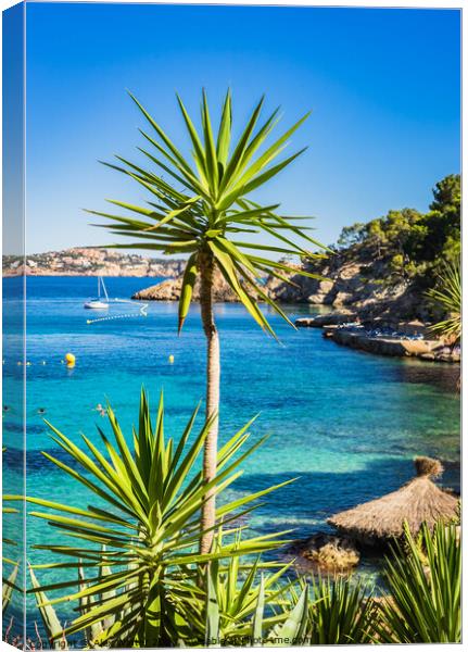 A Turquoise Paradise in Cala Fornells Canvas Print by Alex Winter
