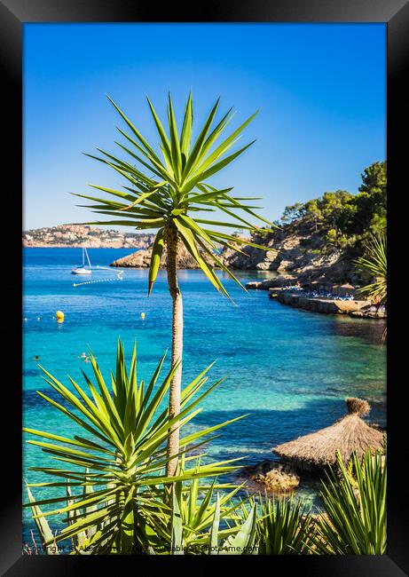 A Turquoise Paradise in Cala Fornells Framed Print by Alex Winter