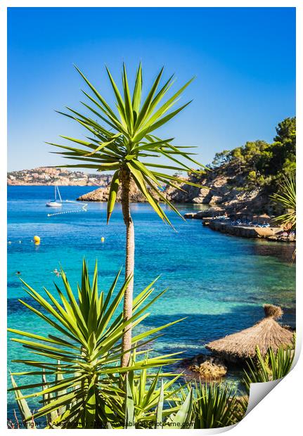 A Turquoise Paradise in Cala Fornells Print by Alex Winter