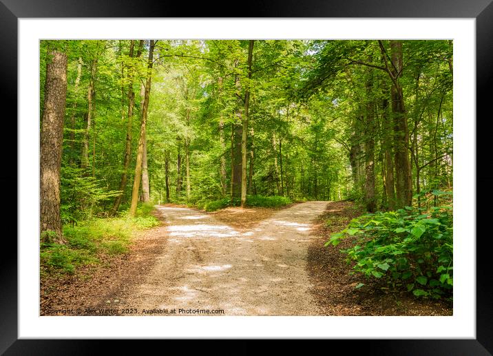 Crossroad two ways, choose the way Framed Mounted Print by Alex Winter