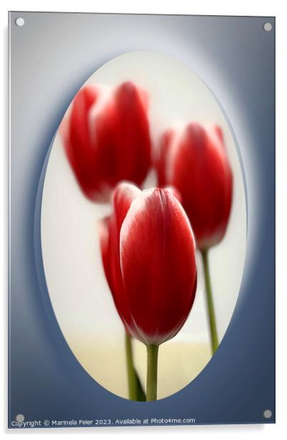 Red tulips Acrylic by Marinela Feier