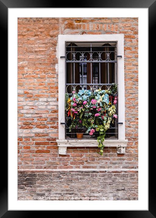 Flowers In A Window Overlooking One The Back Stree Framed Mounted Print by Peter Greenway