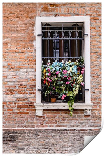 Flowers In A Window Overlooking One The Back Stree Print by Peter Greenway