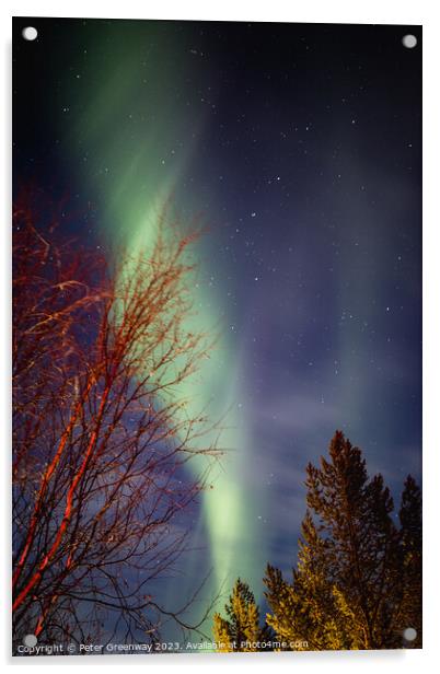 Aurora Borealis ( The Northern Lights ) In Winter Around Utsjoki Acrylic by Peter Greenway