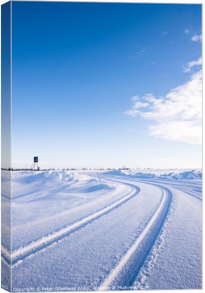 Vehicle Tyre Tracks In The Snow Around Utsjoki, Finland Canvas Print by Peter Greenway