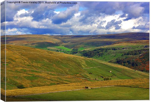 The Beauty of the Dales. Canvas Print by Trevor Kersley RIP