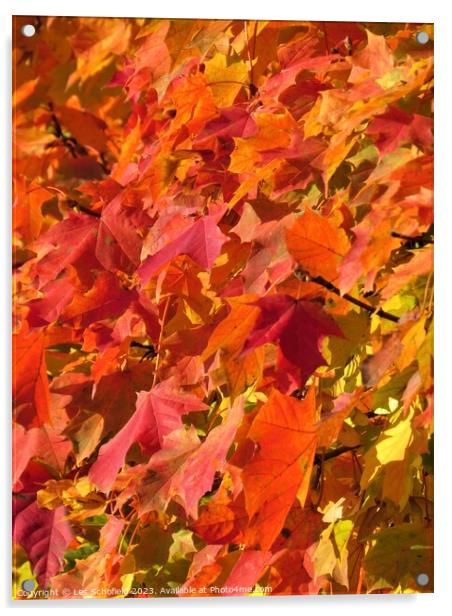 Autumn  leaves Acrylic by Les Schofield