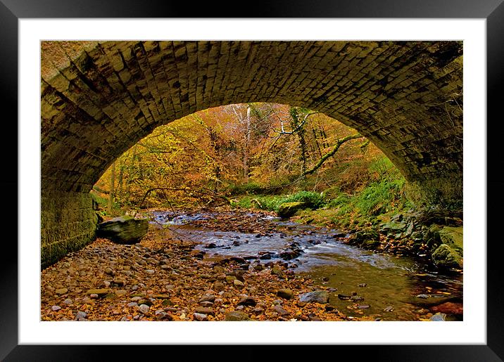Autumn Through The Bridge Framed Mounted Print by Jacqi Elmslie