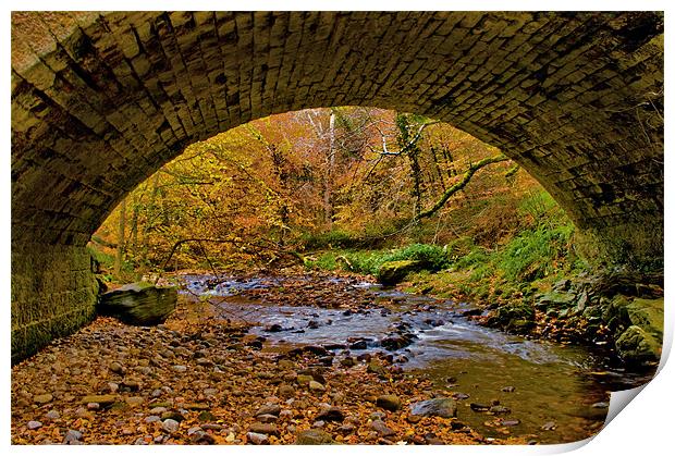 Autumn Through The Bridge Print by Jacqi Elmslie