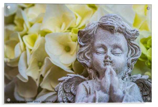 Praying angel Acrylic by Alex Winter