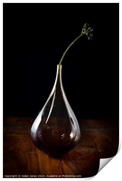Vase  Print by Helen Jones