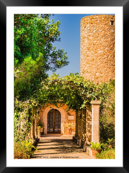 entrance of mediterranean house Framed Mounted Print by Alex Winter