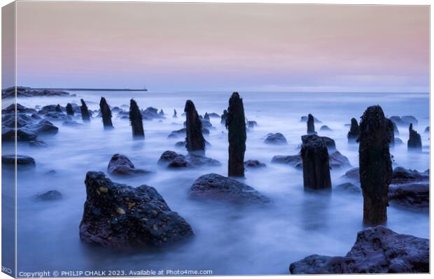 Ghostly groynes at dawn  on chemical beach Seaham  Canvas Print by PHILIP CHALK