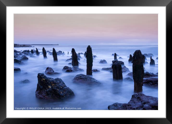 Ghostly groynes at dawn  on chemical beach Seaham  Framed Mounted Print by PHILIP CHALK