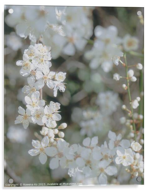 Spring Blossom  Acrylic by Rowena Ko