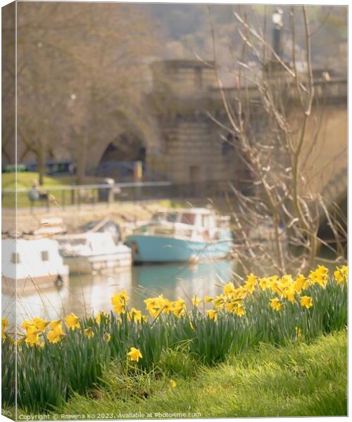 Daffodils by the River Avon  Canvas Print by Rowena Ko