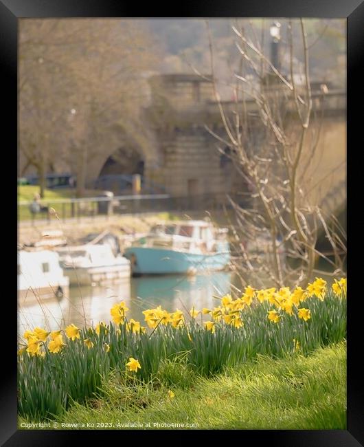 Daffodils by the River Avon  Framed Print by Rowena Ko