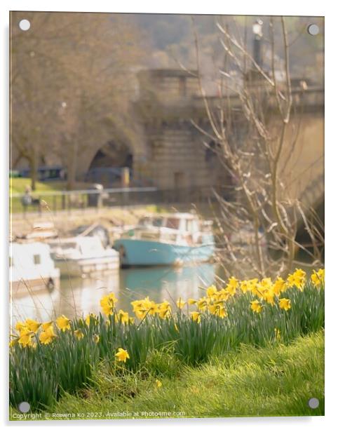 Daffodils by the River Avon  Acrylic by Rowena Ko