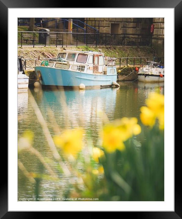 Daffodils by the River Avon  Framed Mounted Print by Rowena Ko