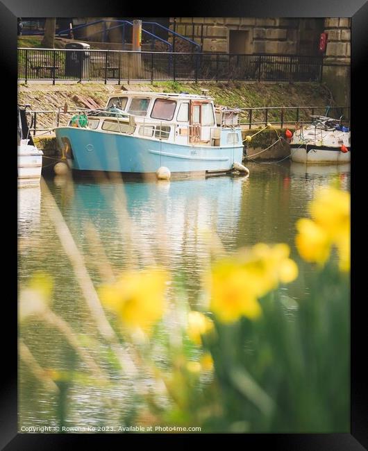 Daffodils by the River Avon  Framed Print by Rowena Ko