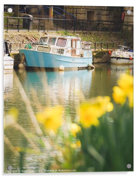 Daffodils by the River Avon  Acrylic by Rowena Ko