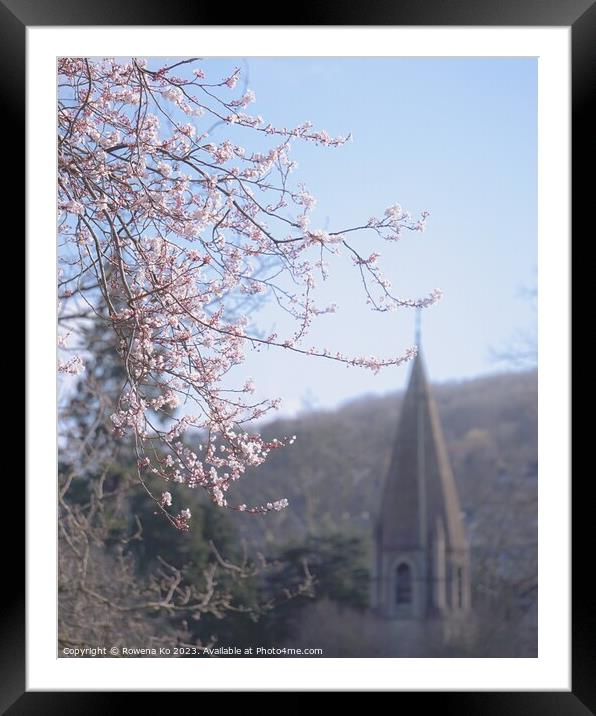 Early spring cherry blossom  Framed Mounted Print by Rowena Ko