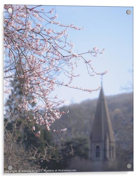 Early spring cherry blossom  Acrylic by Rowena Ko