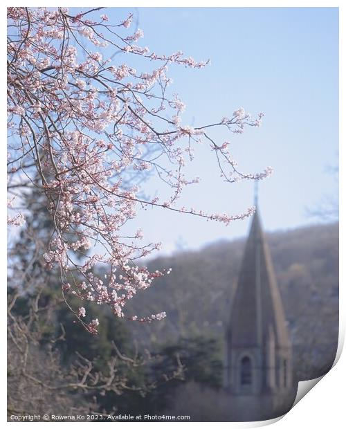 Early spring cherry blossom  Print by Rowena Ko