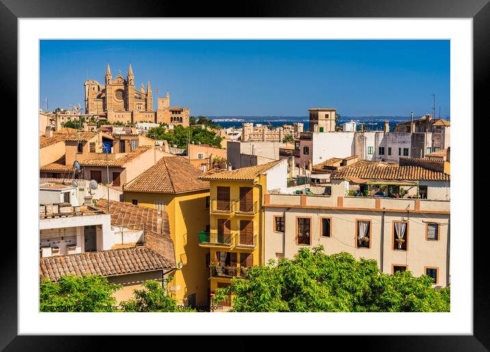 Palma de Majorca Cathedral La Seu Spain Framed Mounted Print by Alex Winter