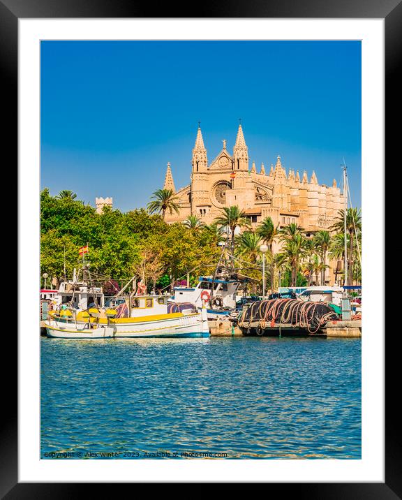 Cathedral La Seu Framed Mounted Print by Alex Winter