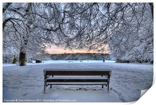 Snow, Highgate Wood Print by Tom Holbourn