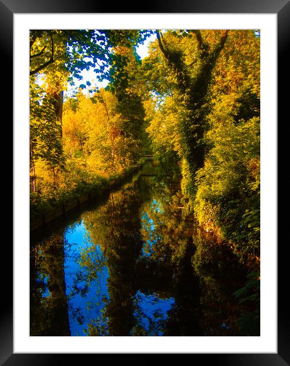 Trees near a stream Framed Mounted Print by Simon Hill