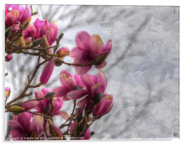 Tulip Tree Blossoms Acrylic by Frankie Cat