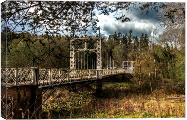 Apley suspension bridge  Canvas Print by Steve Taylor