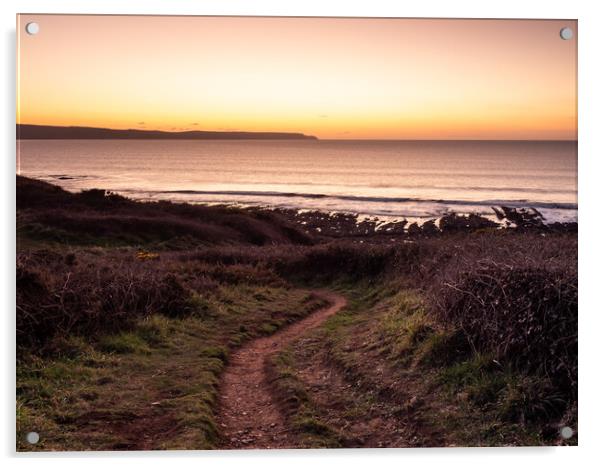 Sunset coast path Acrylic by Tony Twyman