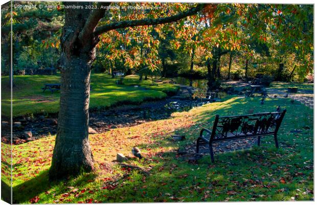 Low Bradfield in Autumn Canvas Print by Alison Chambers