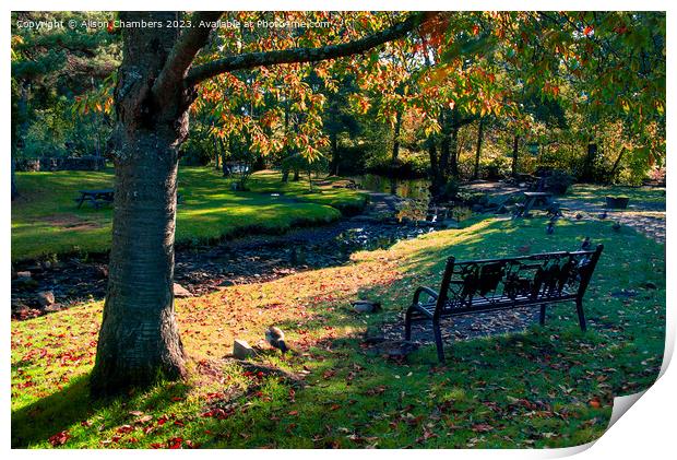 Low Bradfield in Autumn Print by Alison Chambers