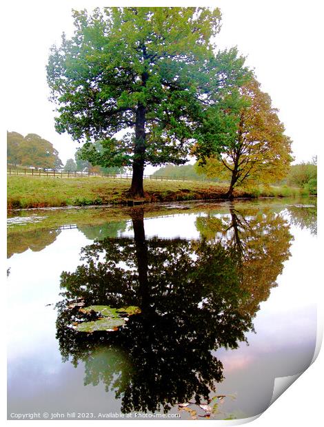 Reflections in Autumn Print by john hill